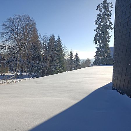 Appartement In Het Sportgebied Van Winterberg Eksteriør bilde
