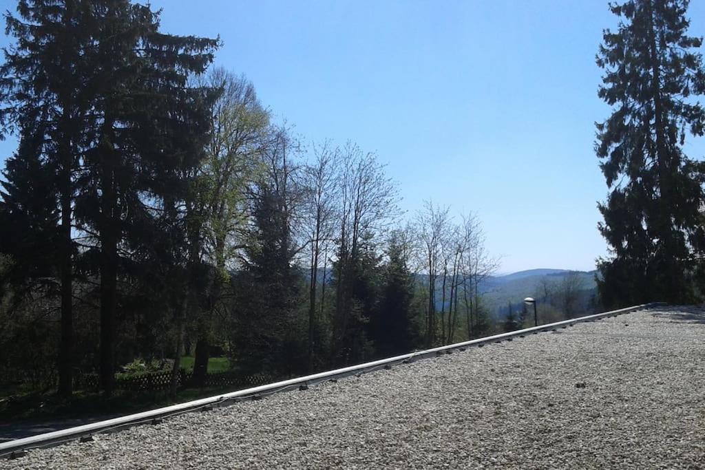 Appartement In Het Sportgebied Van Winterberg Eksteriør bilde